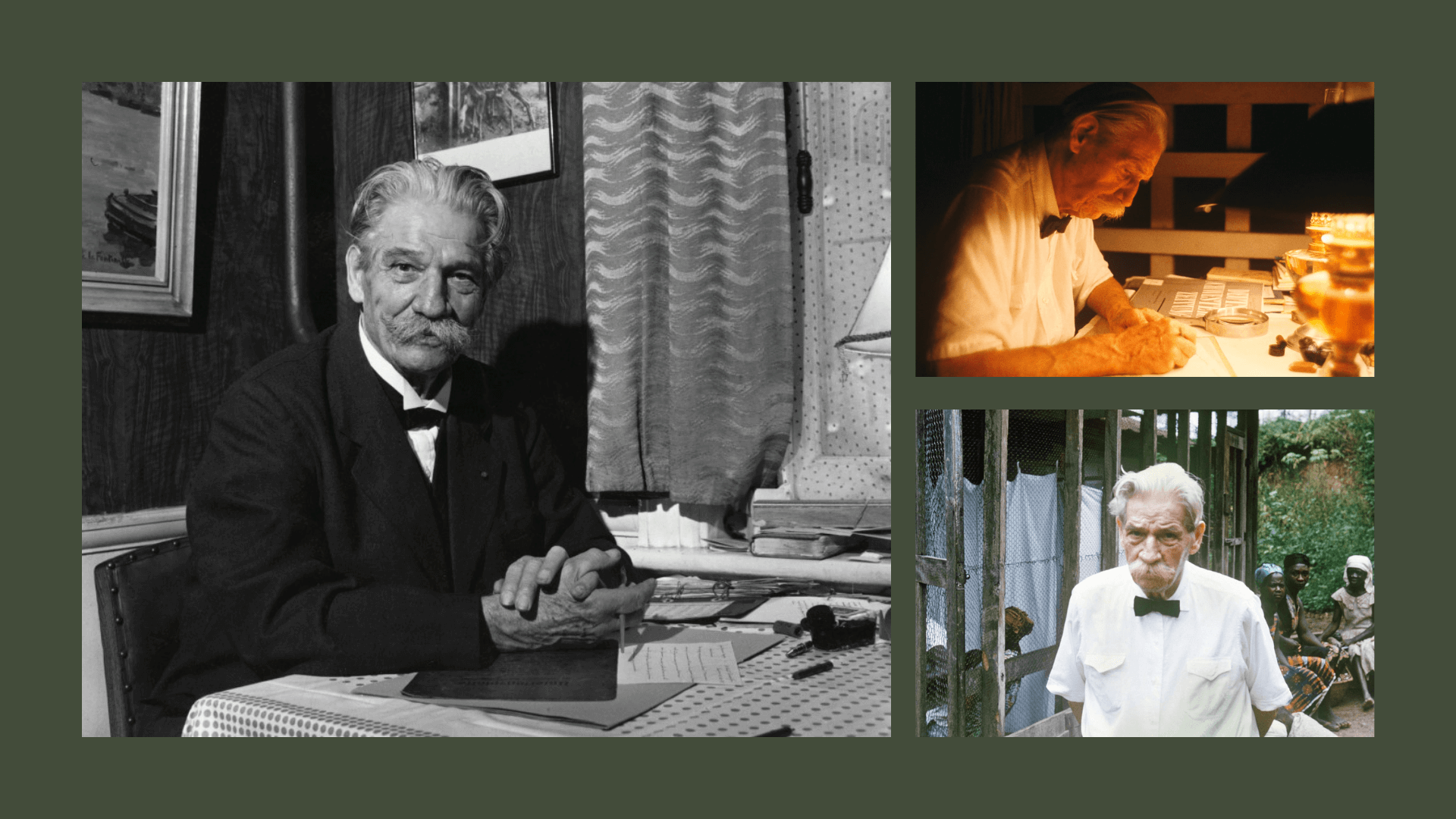 Albert Schweitzer